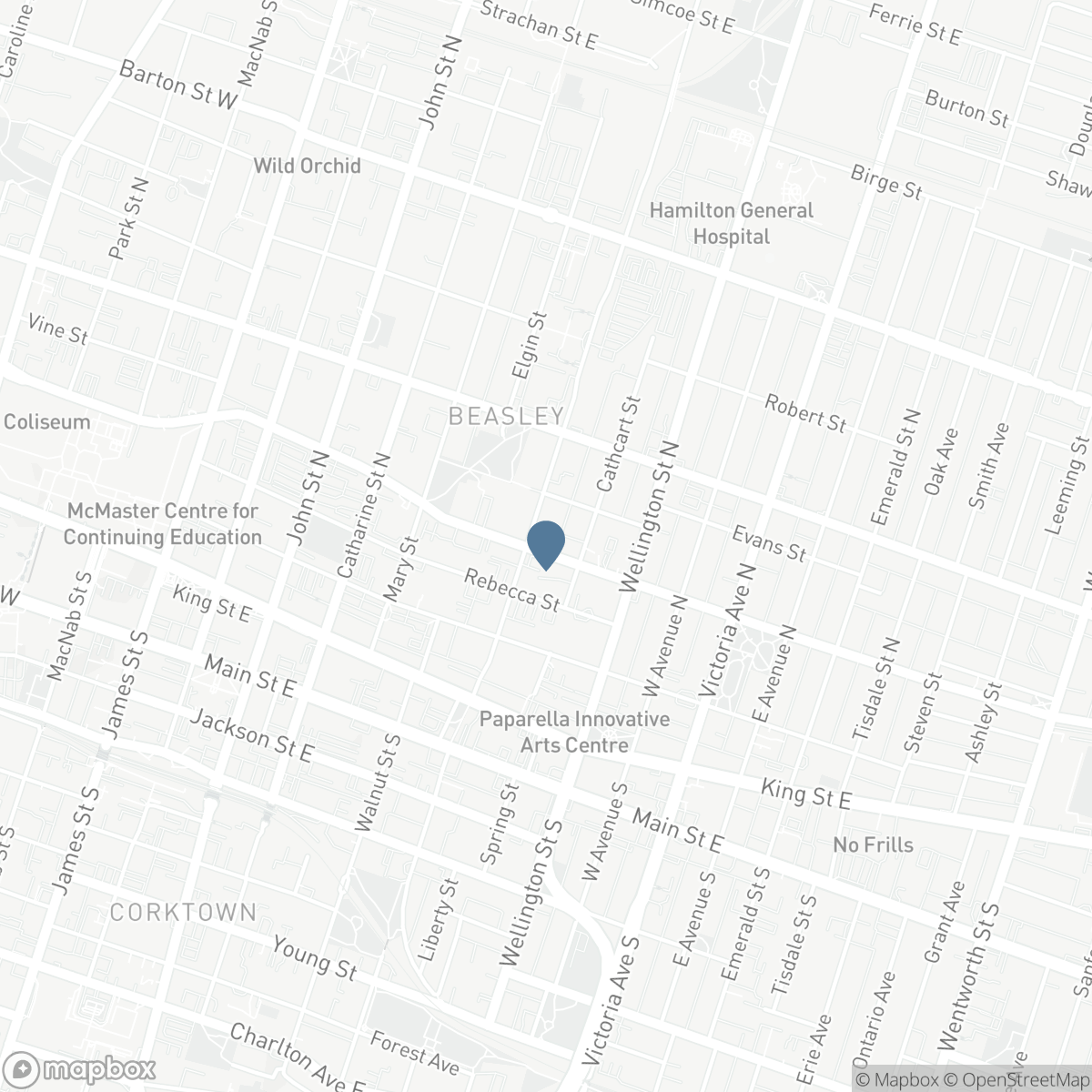 4 - 173 WILSON STREET W, Hamilton, Ontario L9G 1N4